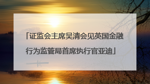 证监会主席吴清会见英国金融行为监管局首席执行官亚迪