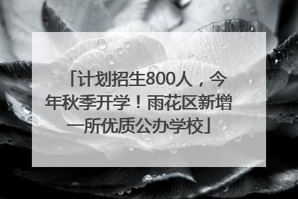 计划招生800人，今年秋季开学！雨花区新增一所优质公办学校