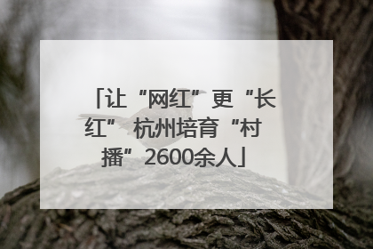 让“网红”更“长红” 杭州培育“村播”2600余人