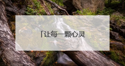 让每一颗心灵找到栖息之所