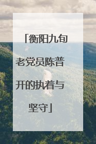 衡阳九旬老党员陈普开的执着与坚守