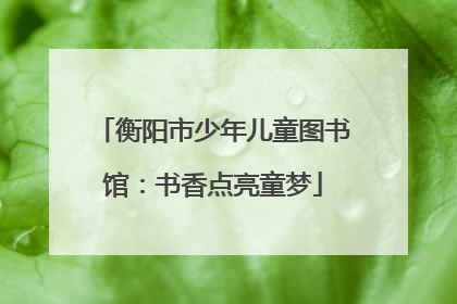 衡阳市少年儿童图书馆：书香点亮童梦