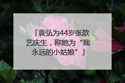袁弘为44岁张歆艺庆生，称她为“我永远的小姑娘”