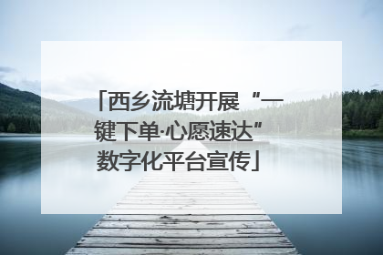 西乡流塘开展“一键下单·心愿速达”数字化平台宣传