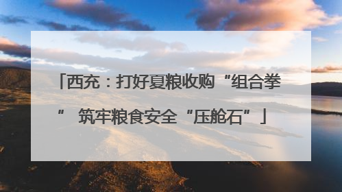 西充：打好夏粮收购“组合拳” 筑牢粮食安全“压舱石”