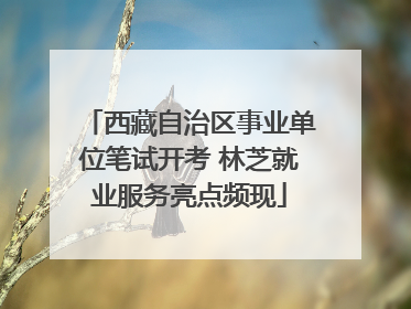 西藏自治区事业单位笔试开考 林芝就业服务亮点频现