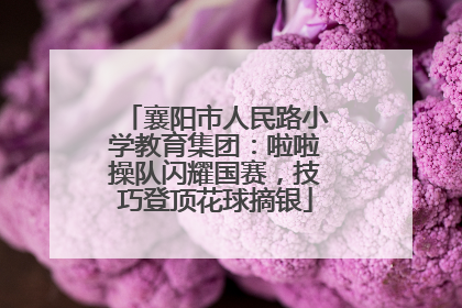 襄阳市人民路小学教育集团：啦啦操队闪耀国赛，技巧登顶花球摘银