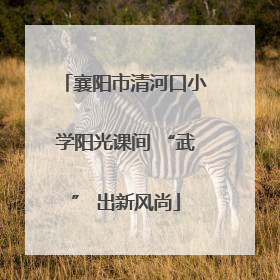 襄阳市清河口小学阳光课间 “武” 出新风尚
