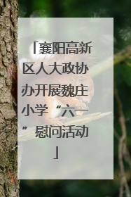 襄阳高新区人大政协办开展魏庄小学“六一”慰问活动