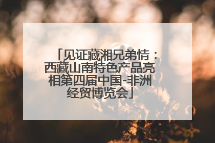 见证藏湘兄弟情：西藏山南特色产品亮相第四届中国-非洲经贸博览会