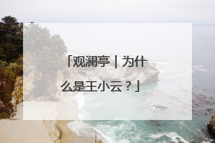 观澜亭｜为什么是王小云？