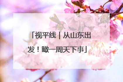 视平线｜从山东出发！瞰一周天下事