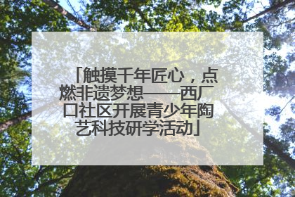 触摸千年匠心，点燃非遗梦想——西厂口社区开展青少年陶艺科技研学活动