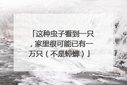 这种虫子看到一只，家里很可能已有一万只（不是蟑螂）
