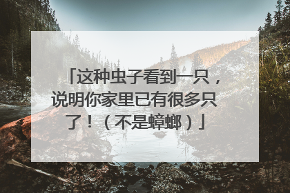 这种虫子看到一只，说明你家里已有很多只了！（不是蟑螂）