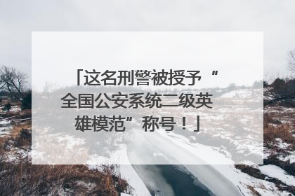 这名刑警被授予“全国公安系统二级英雄模范”称号！