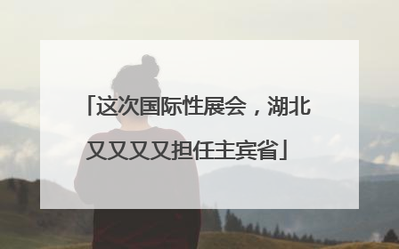 这次国际性展会，湖北又又又又担任主宾省