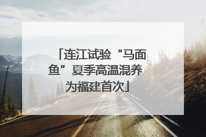 连江试验“马面鱼”夏季高温混养 为福建首次