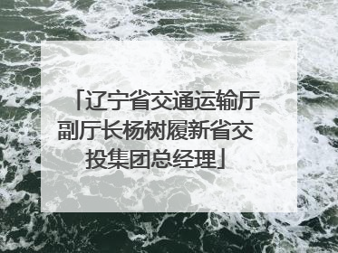 辽宁省交通运输厅副厅长杨树履新省交投集团总经理