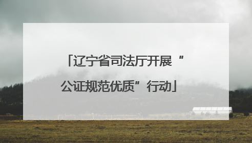 辽宁省司法厅开展“公证规范优质”行动