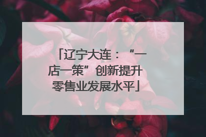 辽宁大连：“一店一策”创新提升零售业发展水平