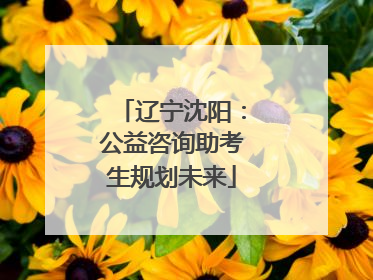 辽宁沈阳：公益咨询助考生规划未来
