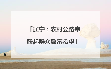 辽宁：农村公路串联起群众致富希望