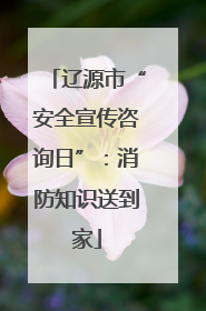 辽源市“安全宣传咨询日”：消防知识送到家