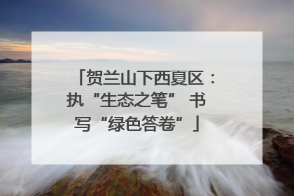 贺兰山下西夏区：执“生态之笔” 书写“绿色答卷”