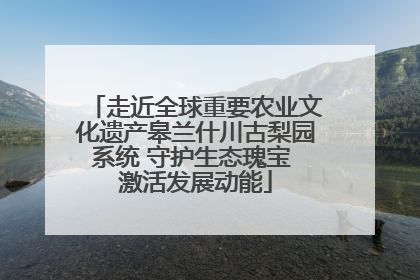 走近全球重要农业文化遗产皋兰什川古梨园系统 守护生态瑰宝 激活发展动能