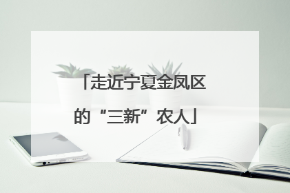 走近宁夏金凤区的“三新”农人