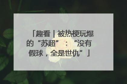 趣看｜被热梗玩爆的“苏超”：“没有假球，全是世仇”