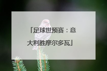 足球世预赛：意大利胜摩尔多瓦