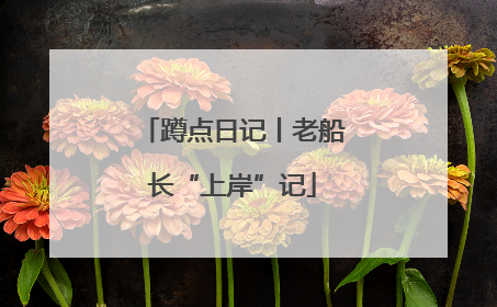 蹲点日记丨老船长“上岸”记