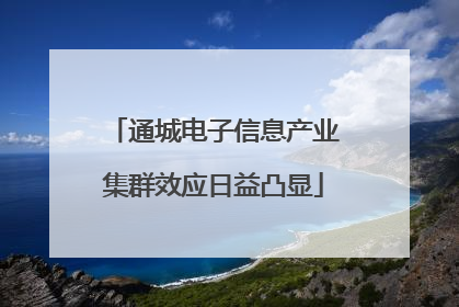 通城电子信息产业集群效应日益凸显