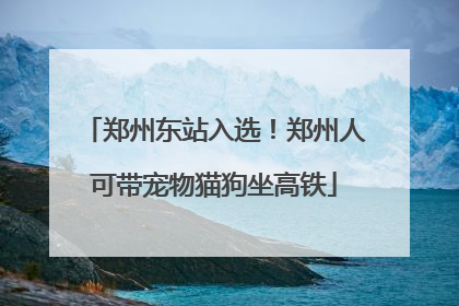 郑州东站入选！郑州人可带宠物猫狗坐高铁