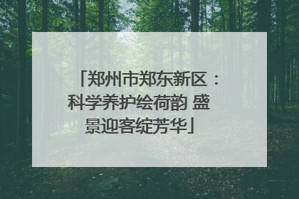 郑州市郑东新区：科学养护绘荷韵 盛景迎客绽芳华