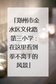 郑州市金水区文化路第三小学：在这里看到拳不离手的风景