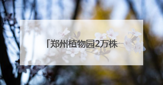 郑州植物园2万株向日葵热烈绽放