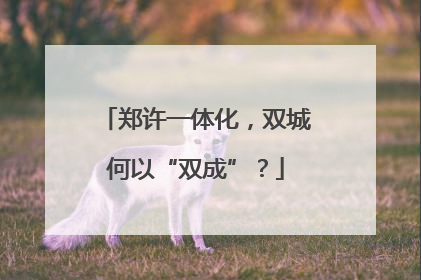 郑许一体化，双城何以“双成”？