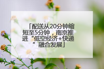 配送从20分钟缩短至5分钟，南京推进“低空经济+快递”融合发展