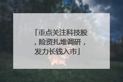 重点关注科技股，险资扎堆调研，发力长钱入市