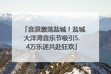 音浪激荡盐城！盐城大洋湾音乐节吸引5.4万乐迷共赴狂欢