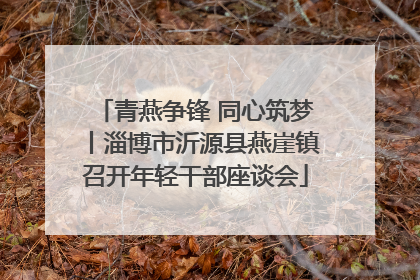 青燕争锋 同心筑梦丨淄博市沂源县燕崖镇召开年轻干部座谈会