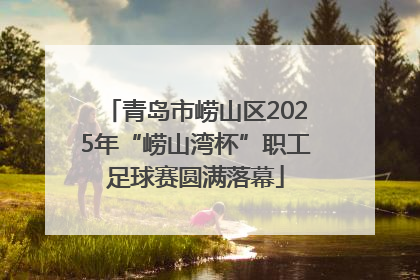 青岛市崂山区2025年“崂山湾杯”职工足球赛圆满落幕