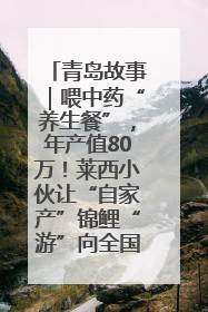 青岛故事｜喂中药“养生餐”，年产值80万！莱西小伙让“自家产”锦鲤“游”向全国