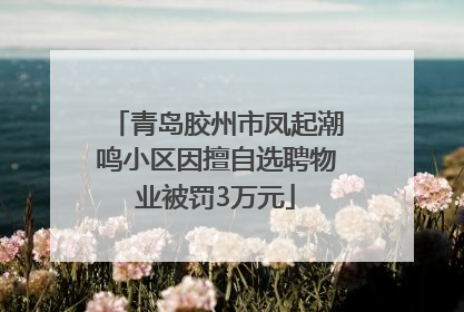 青岛胶州市凤起潮鸣小区因擅自选聘物业被罚3万元