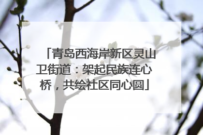 青岛西海岸新区灵山卫街道：架起民族连心桥，共绘社区同心圆