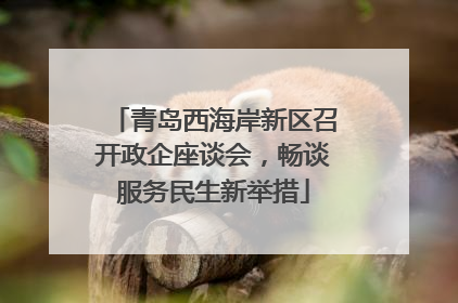 青岛西海岸新区召开政企座谈会，畅谈服务民生新举措
