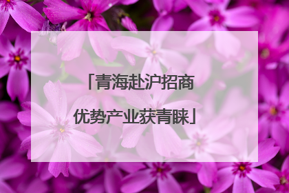 青海赴沪招商 优势产业获青睐